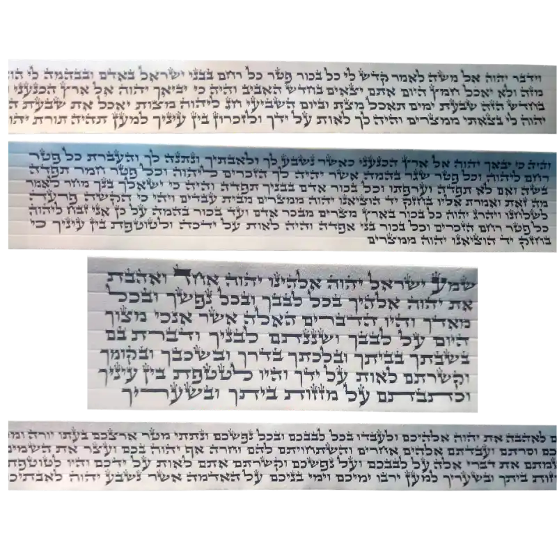 פרשיות תפילין
