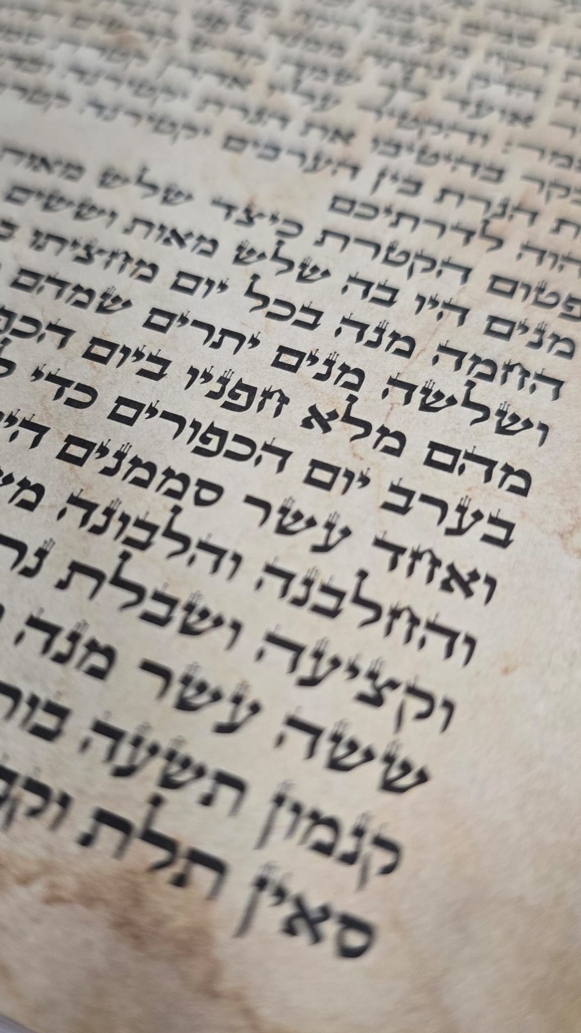 פיטום הקטורת קלף מהודר